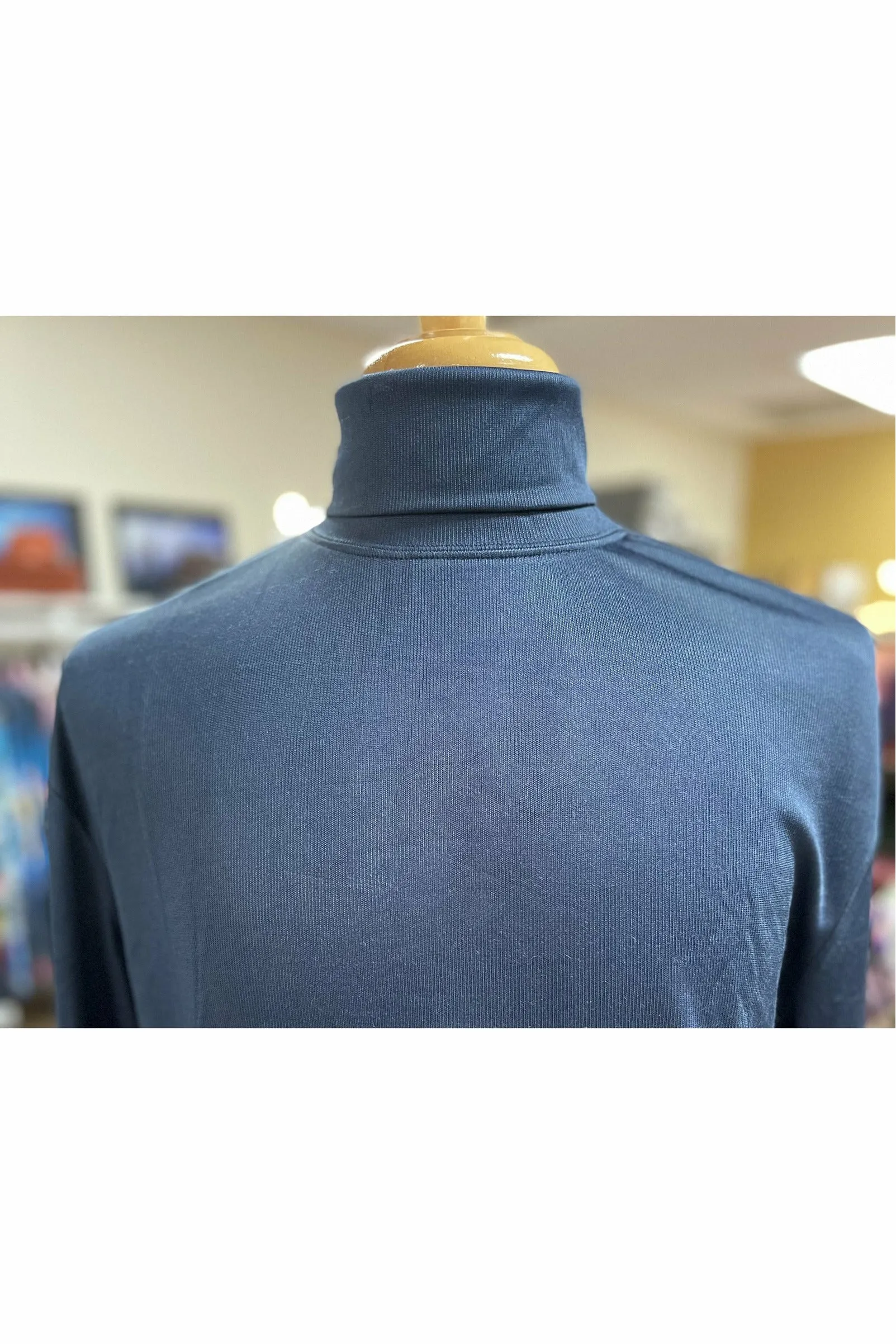 Dress Silk Turtlenecks