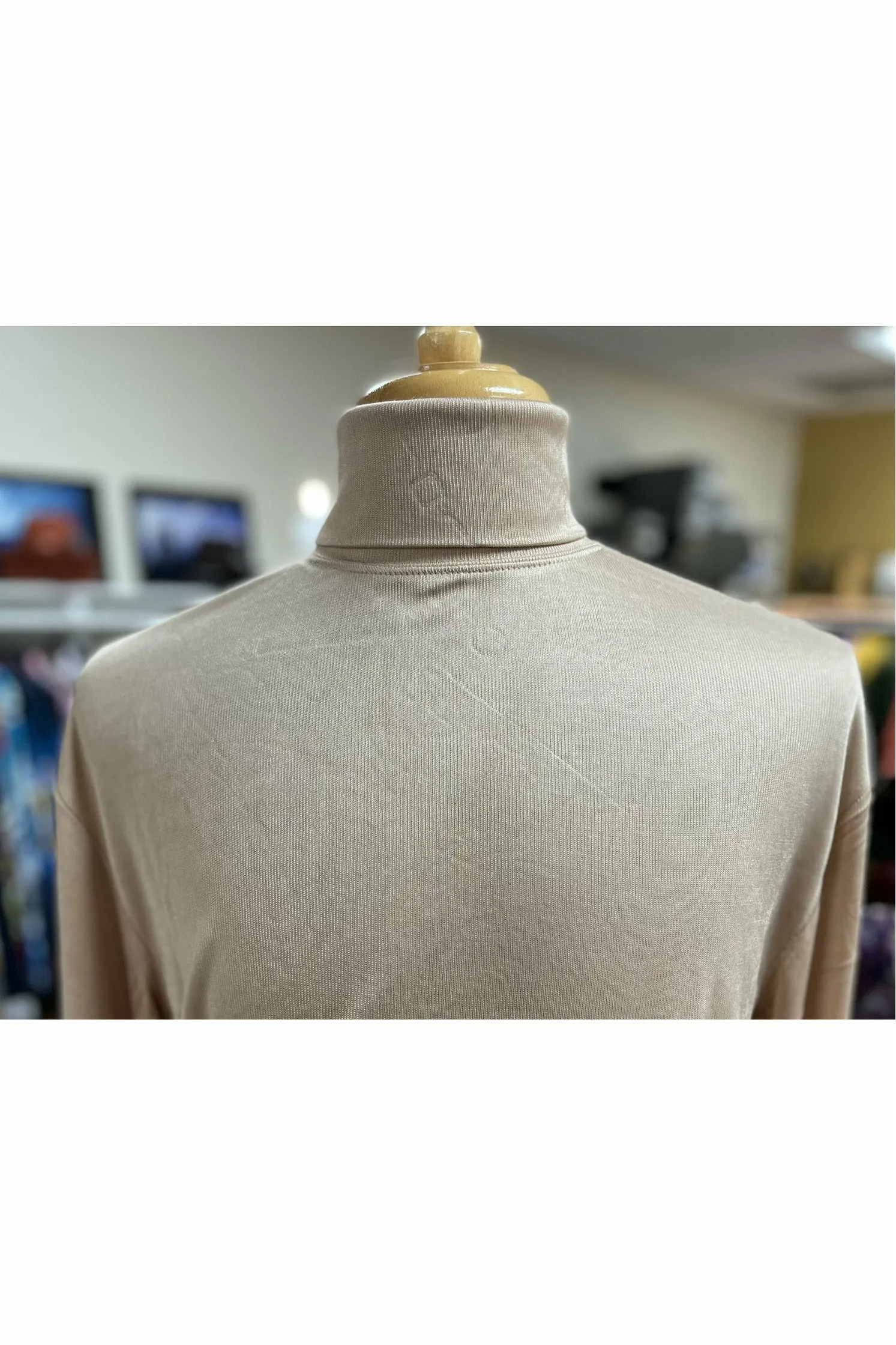 Dress Silk Turtlenecks