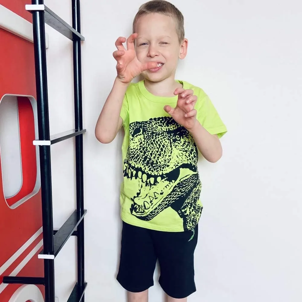 Toddler Boy Clothes Cartoon Cotton Summer Short Sleeve T-Shirt and Shorts Kids Outfit Set 2-7 Year